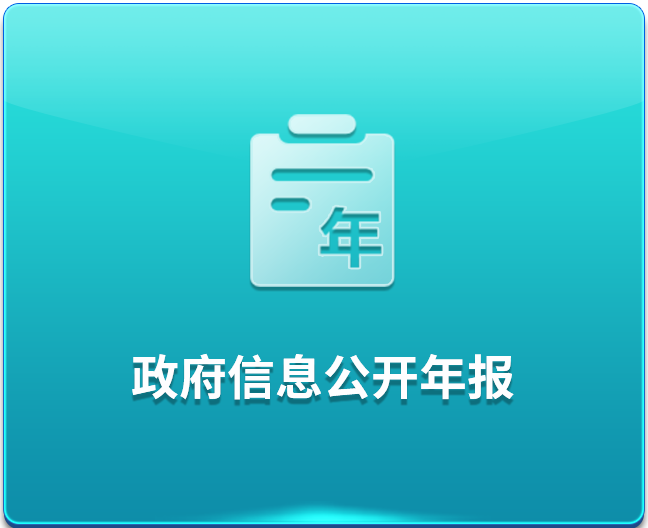 信息公开年报