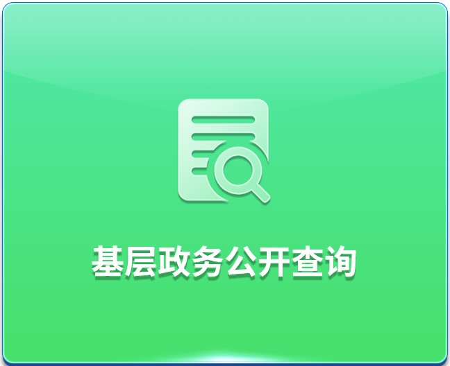 基层政务公开查询