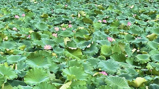 ΢��ͼƬ_20210920124851