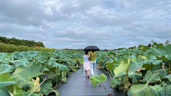 ΢��ͼƬ_20210920124912