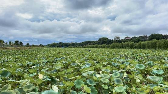 ΢��ͼƬ_20210920124930