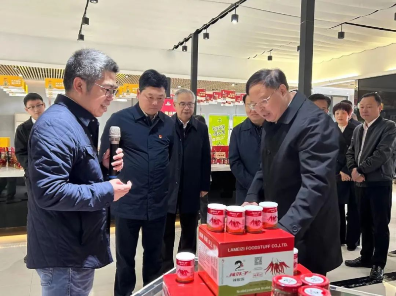 张剑飞来沅江调研