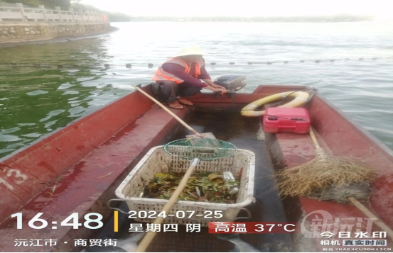 高温下的坚守——致敬湖面保洁工作者(图1)