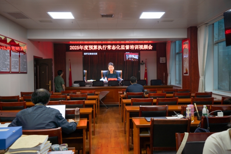 市财政局组织在线参加湖南省财政厅召开的关于开展2025年度预算执行常态化监督培训