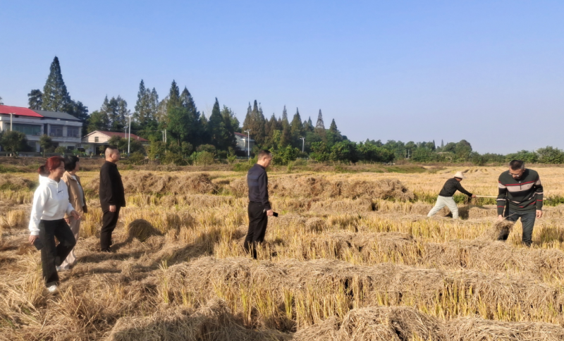 Э編ίίԱҿչ̬רල