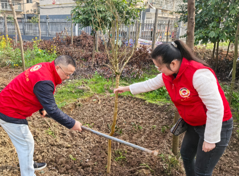 �佭����Э��չ����ֲ���